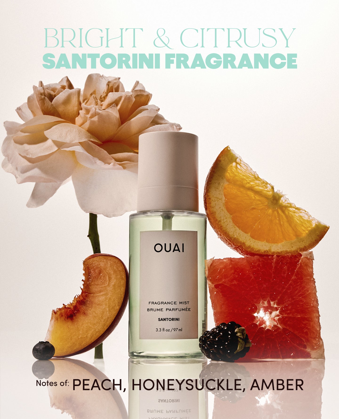 OUAI-CATION Air Fresheners - 4 Pack - Image 4