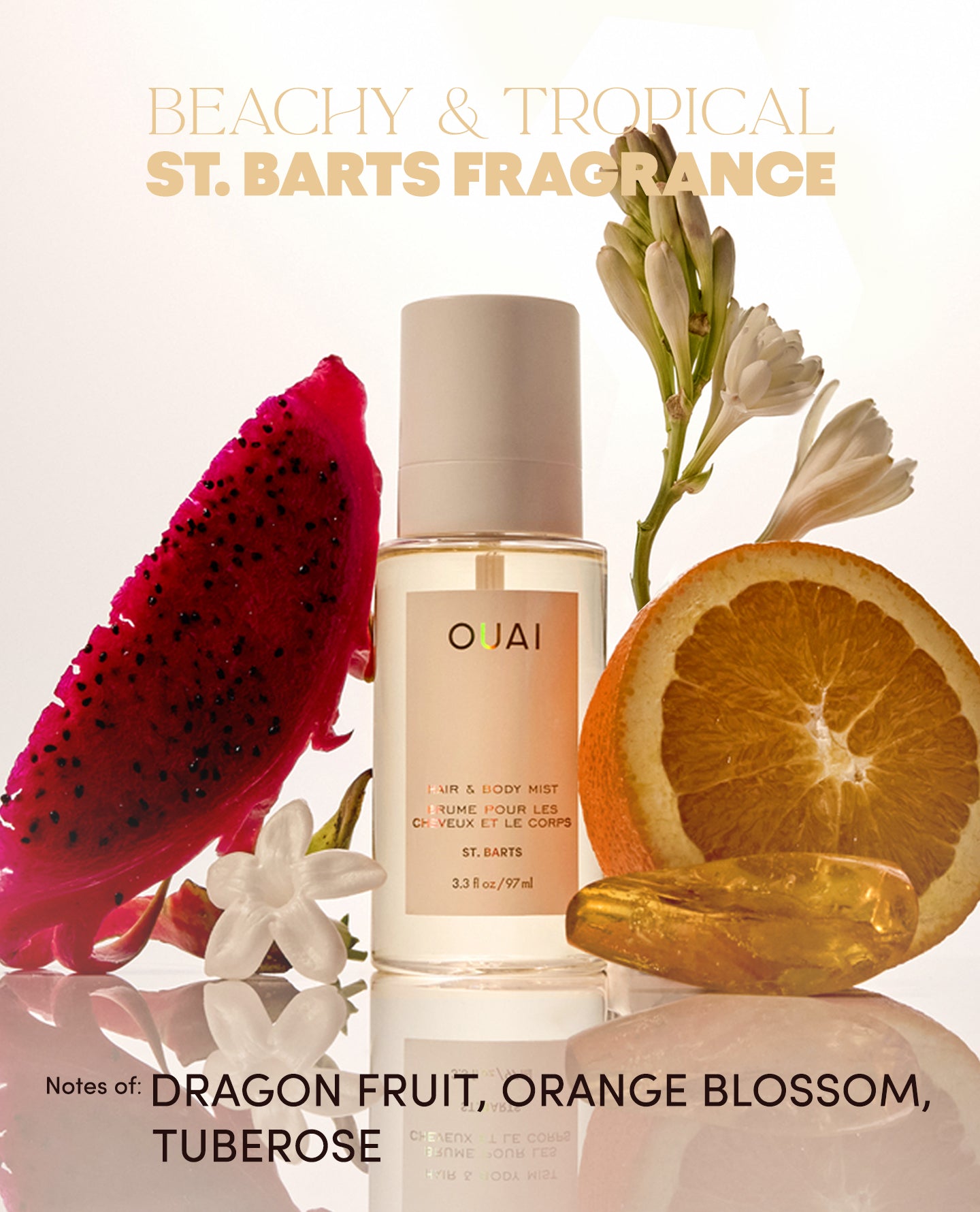 OUAI-CATION Air Fresheners - 4 Pack - Image 6