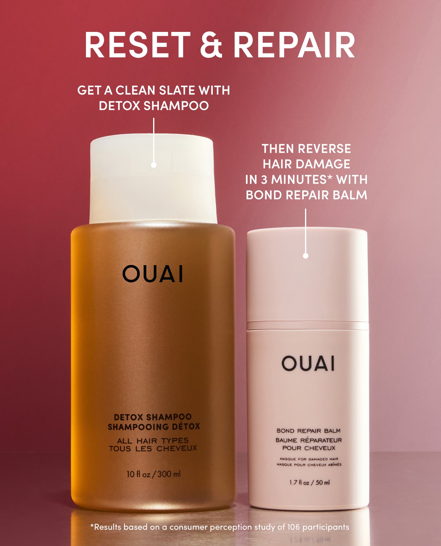 Healthy Hair For The Holidays Kit - Image 2