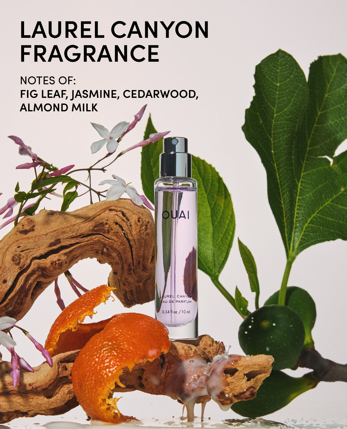 Eau de Parfum Laurel Canyon - Travel - Image 4