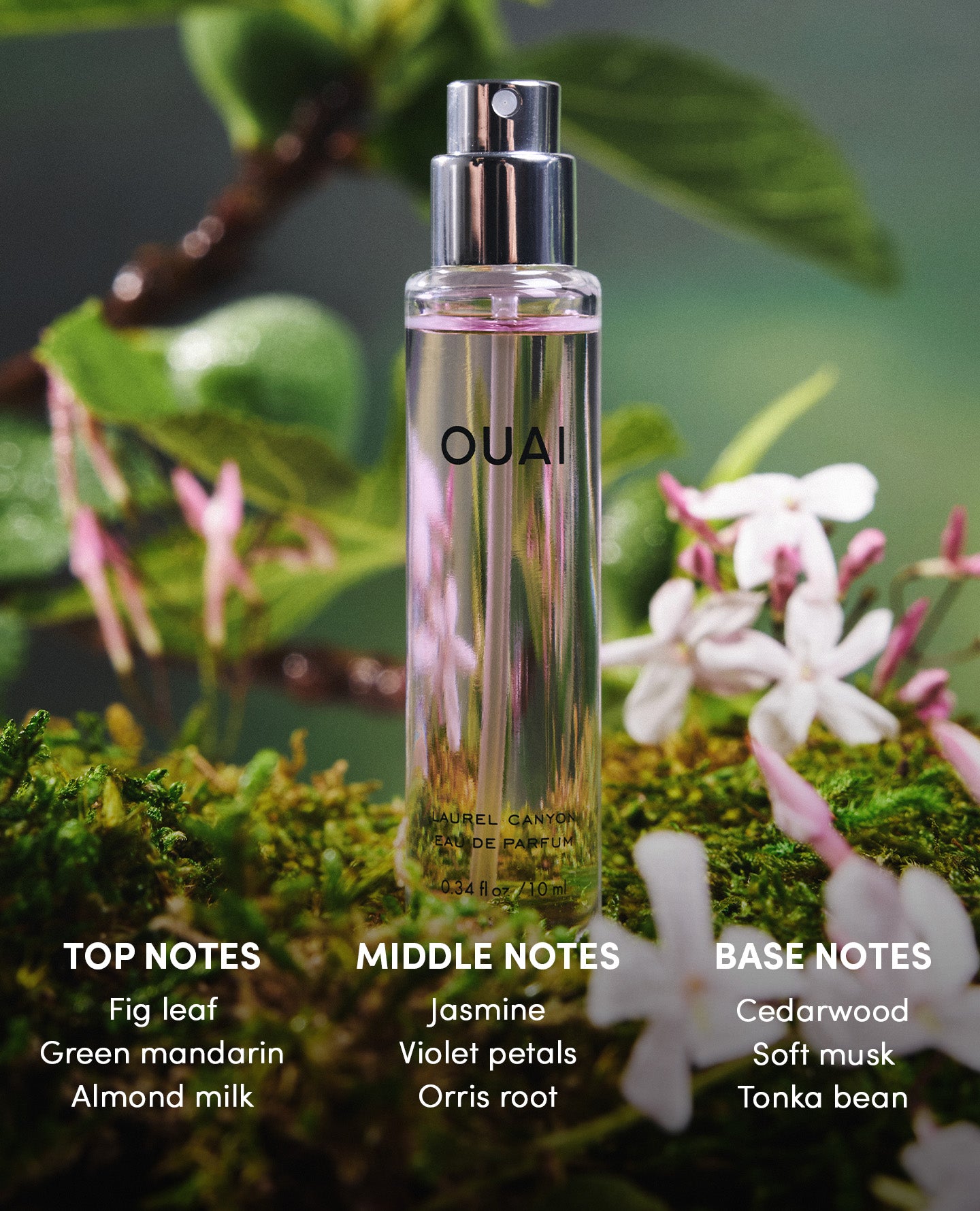 Eau de Parfum Laurel Canyon - Travel - Image 5
