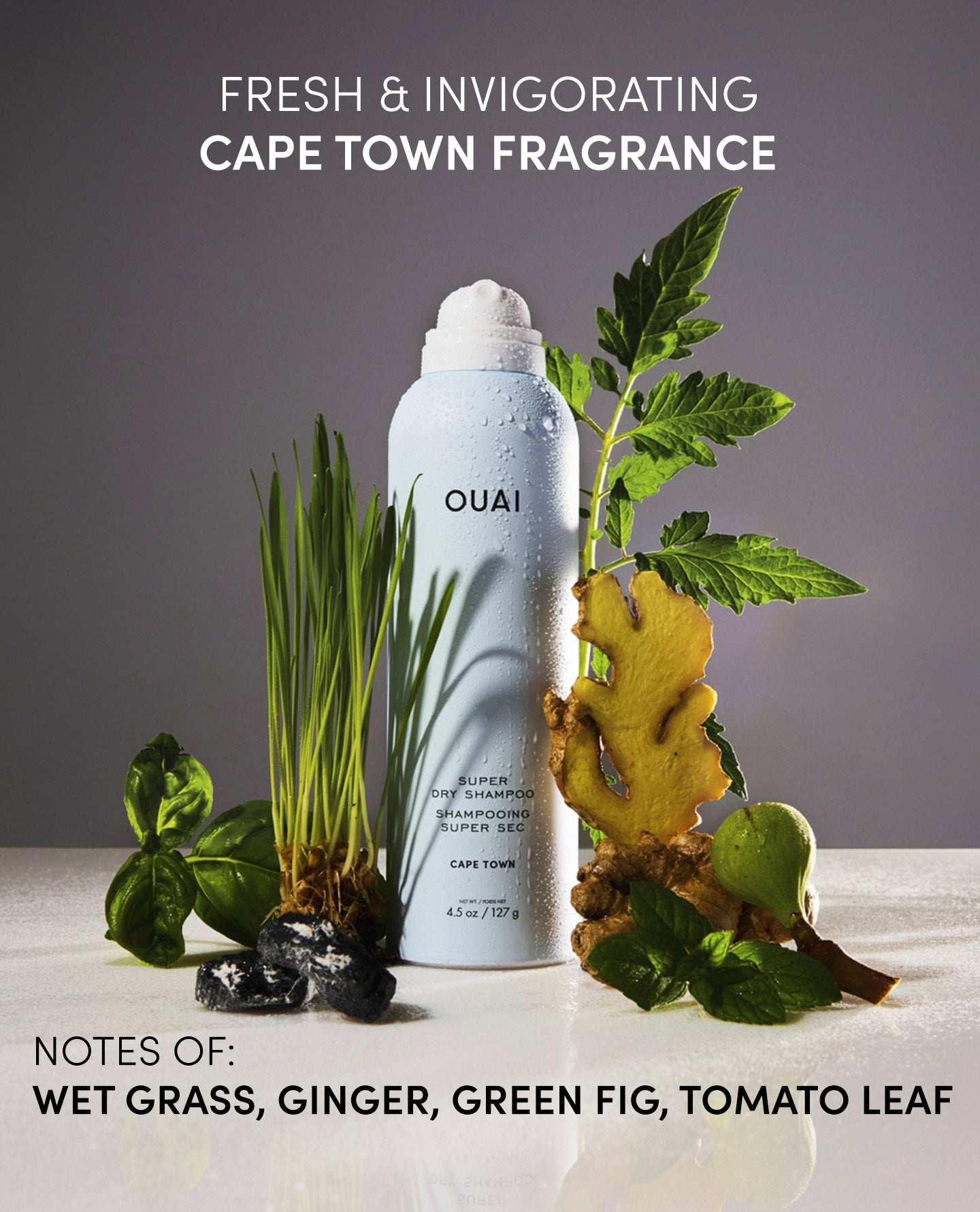 Super Dry Shampoo Cape Town - Travel - Image 6
