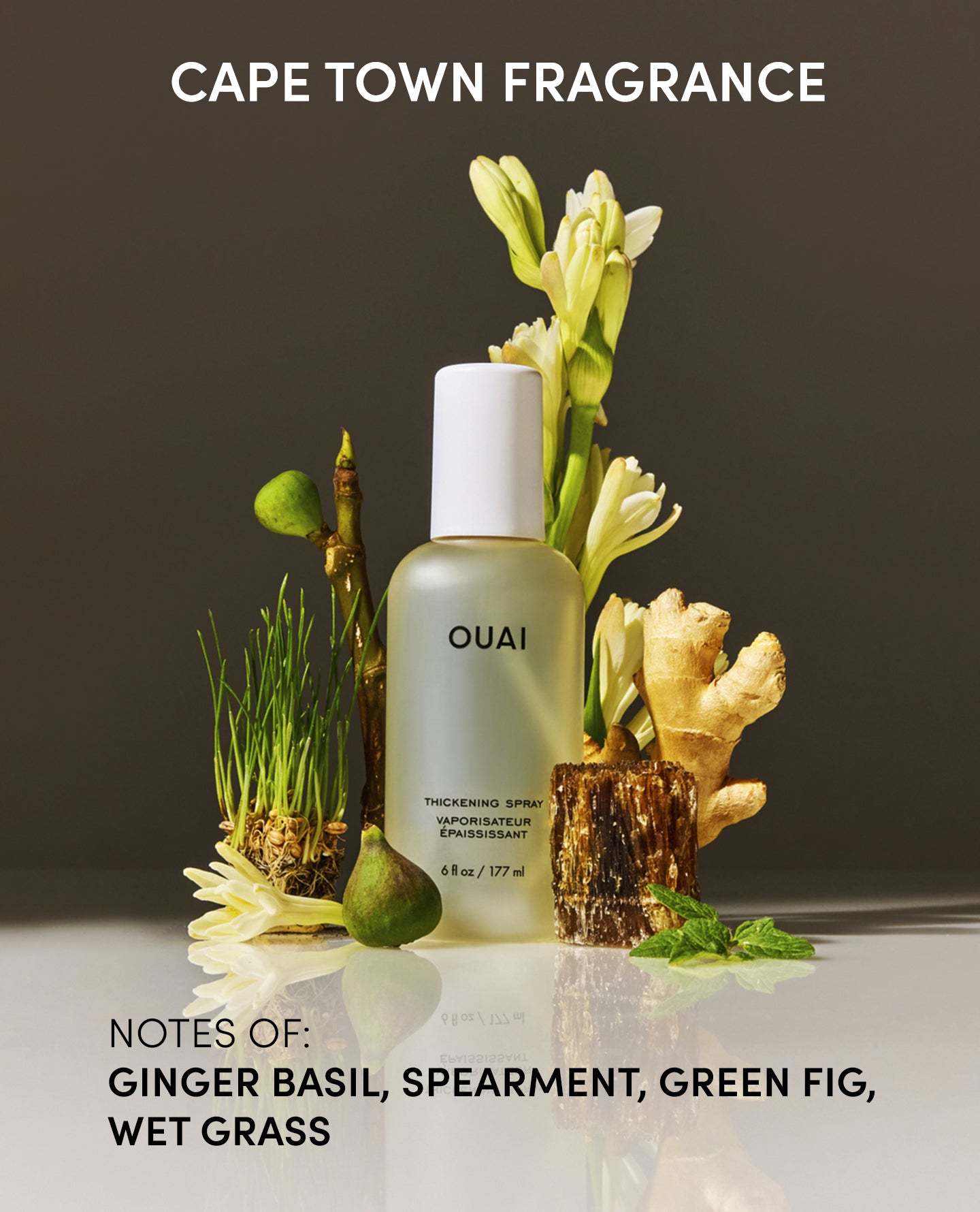 Thickening Spray - Image 4